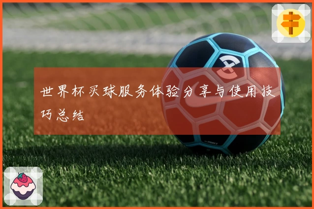 世界杯买球服务体验分享与使用技巧总结