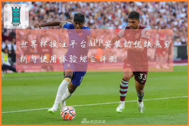 世界杯投注平台APP安装的优缺点分析与使用体验综合评测