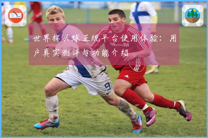 世界杯买球正规平台使用体验：用户真实测评与功能介绍