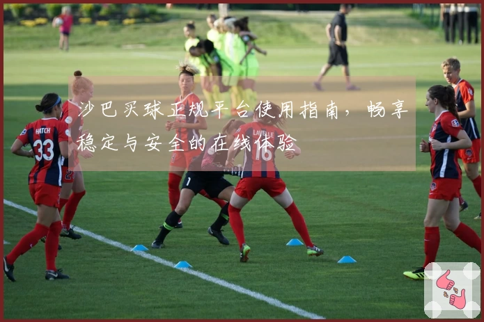 沙巴买球正规平台使用指南，畅享稳定与安全的在线体验