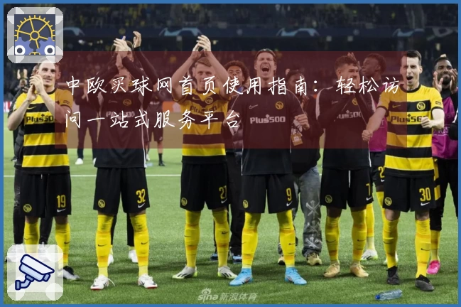 中欧买球网首页使用指南：轻松访问一站式服务平台