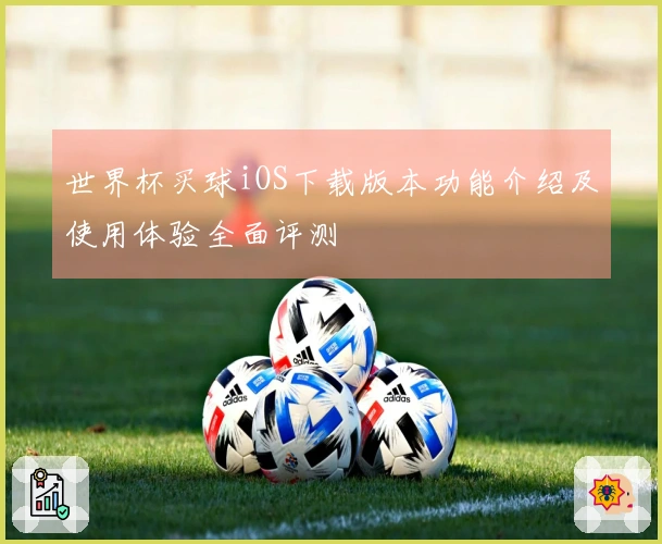 世界杯买球iOS下载版本功能介绍及使用体验全面评测