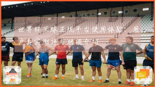 世界杯买球正规平台使用体验：用户真实测评与功能介绍