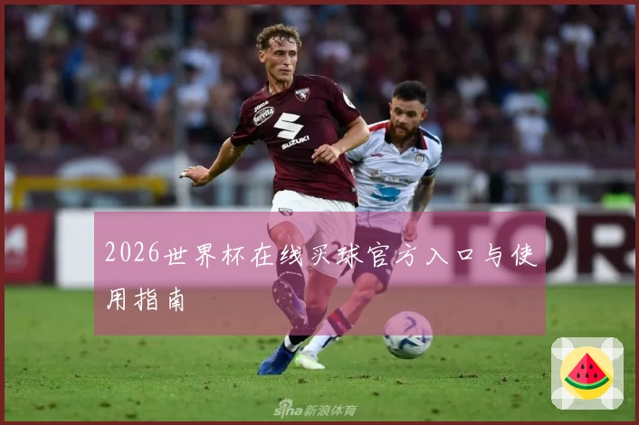 2026世界杯在线买球官方入口与使用指南