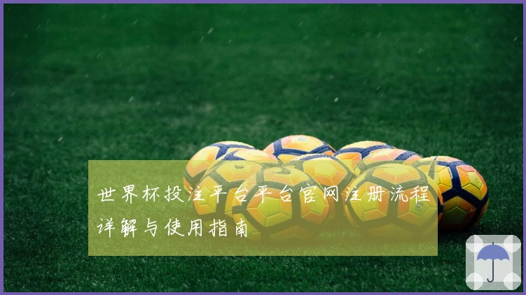 世界杯投注平台平台官网注册流程详解与使用指南