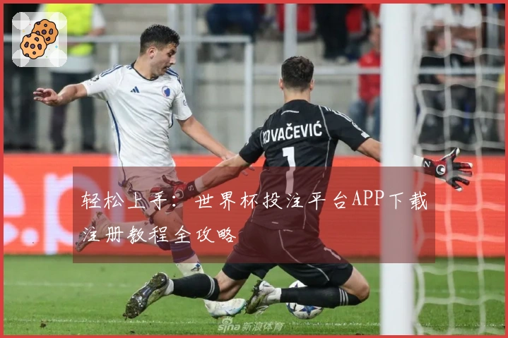 轻松上手：世界杯投注平台APP下载注册教程全攻略