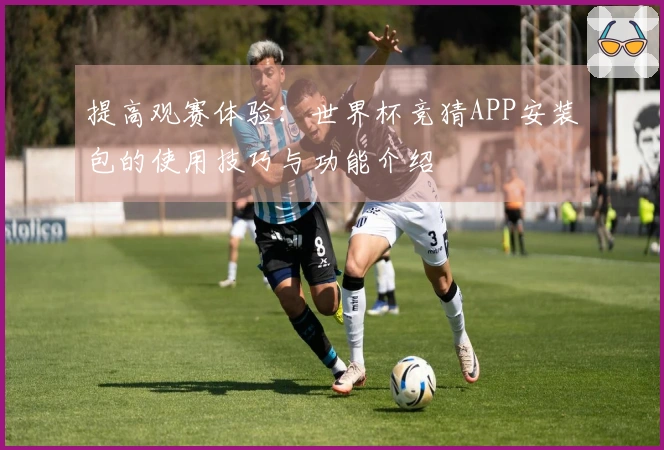 提高观赛体验:世界杯竞猜APP安装包的使用技巧与功能介绍