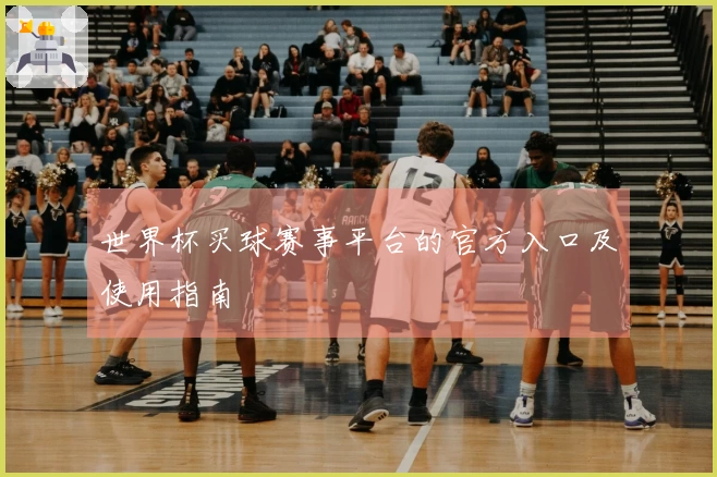 世界杯买球赛事平台的官方入口及使用指南
