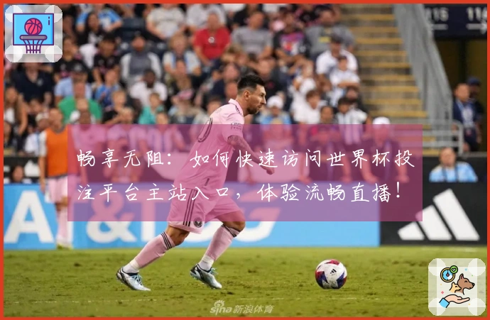 畅享无阻：如何快速访问世界杯投注平台主站入口，体验流畅直播！