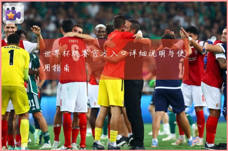 世界杯观赛官方入口详细说明与使用指南