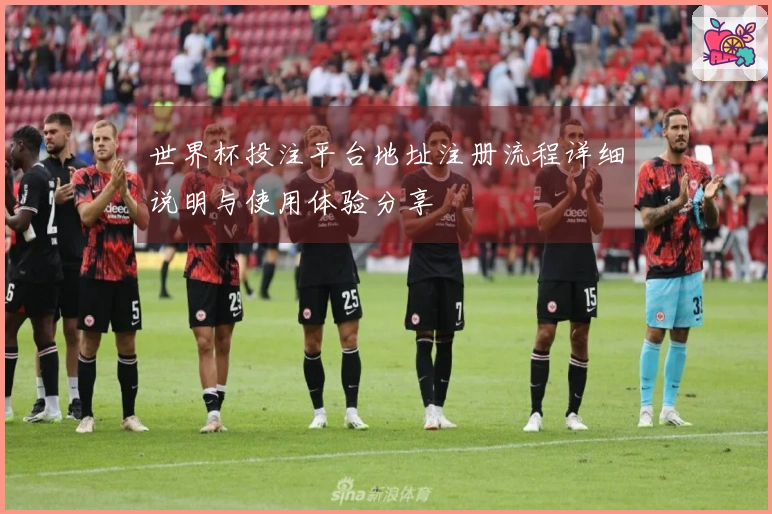 世界杯投注平台地址注册流程详细说明与使用体验分享