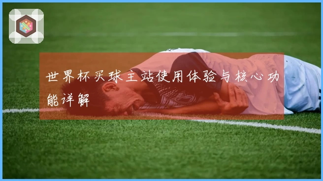 世界杯买球主站使用体验与核心功能详解
