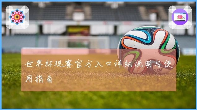 世界杯观赛官方入口详细说明与使用指南